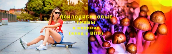 дживик Зерноград