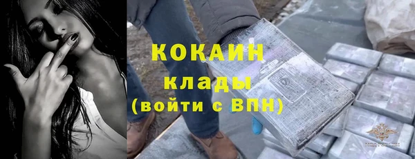дживик Зерноград