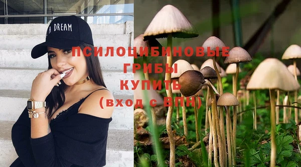 дживик Зерноград