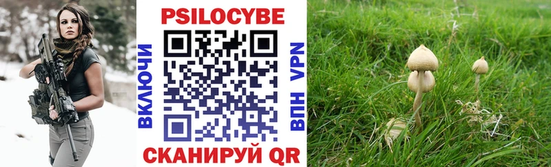 Купить закладки  Североморск  Псилоцибиновые грибы Magic Shrooms 